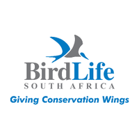 BirdLife South Africa 🇿🇦(@BirdLife_SA) 's Twitter Profileg