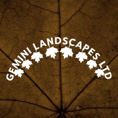 Gemini Landscapes has provided a Professional, Innovative, Design and Construction service throughout Hampshire since 2002