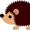We are Hedgehogs, Reception class at Troon CP School