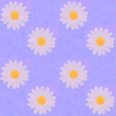 UMI19980717's profile picture. インコ ぐでたま 韓国🇰🇷