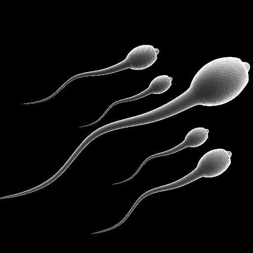 karkash_unborn's profile picture. Father: @the_utpal
Mother: Searching
Uncle: @oleohari
Yet to born.... :D