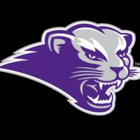 DiamondCats(@sbu_baseball) 's Twitter Profileg