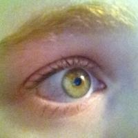 Kathleen G (@kgrissominator) 's Twitter Profile