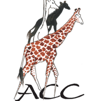 ACF / ACC (@africanconserv) 's Twitter Profile
