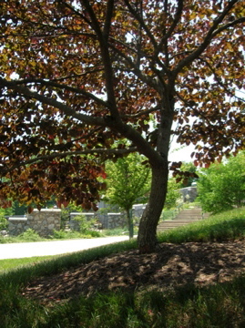 LadyScientist's profile picture. Freelance Scientific Editor, Former Academic, Coffee Addict, co-host of the Recovering Academic podcast (https://t.co/0MouSwKmPi), she/her