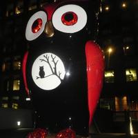 Midnight Hoot (@midnighthoot) 's Twitter Profile