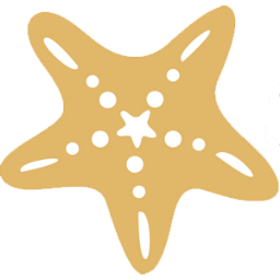 Sea Star Decor offers beach themed home decor and more!