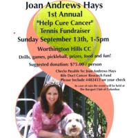 Joan Hays Fundraiser - @HaysFundraiser Twitter Profile Photo