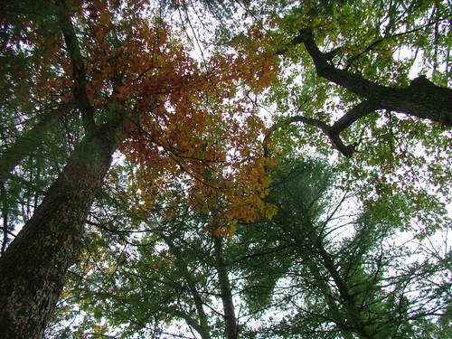 PowerThreads's profile picture. Microfiber and Nanotech Products