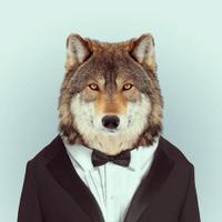 NHS Twolves (@nhstwolves) 's Twitter Profile