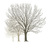 mveach12's profile image