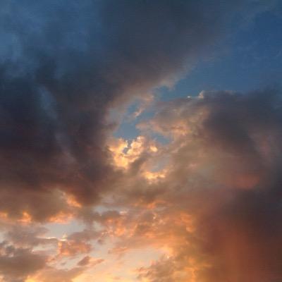 CatherinePhipps's profile picture. 