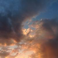 Princesscat (@catherinephipps) 's Twitter Profile