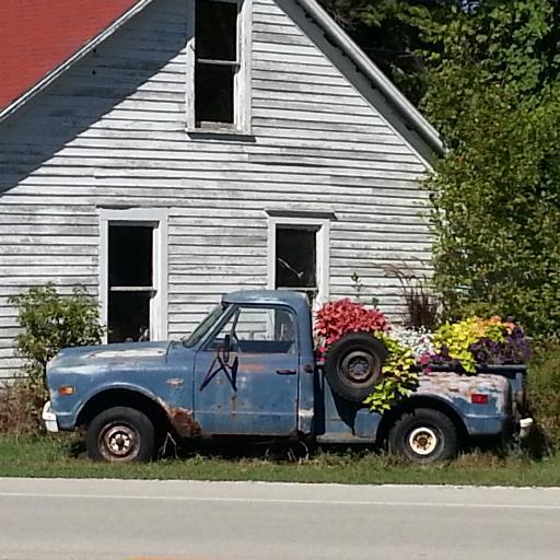 Willow_Tree_Man's profile picture. 