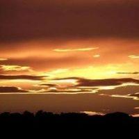 (Nadie se ilumina fantaseando figuras de luz, sino haciendo consciente su oscuridad)
-Carl Jung- ¡Disculpen la intromisión esto es una congregación de cultos!
