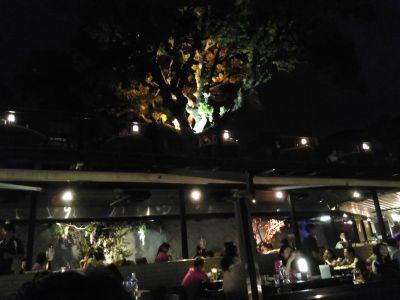 jennypigwin's profile picture. 20↑ 成人済腐 💎🔥 / 🐢🌸 / ズ‼︎ 垢