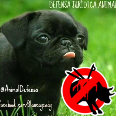 Animal Rights. StopBullfighting.
AnimalFreedom. StopFur.
RT maybe endorsement or not. Some tweets are graphic.