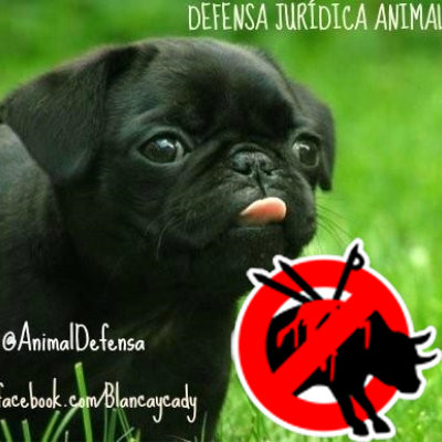 Animal Rights. StopBullfighting.
AnimalFreedom. StopFur.




RT maybe endorsement or not. Some tweets are graphic.