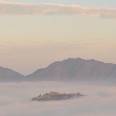 derassh's profile picture. 