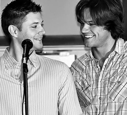 fanspn's profile picture. 