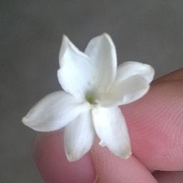 victor110922's profile picture. 