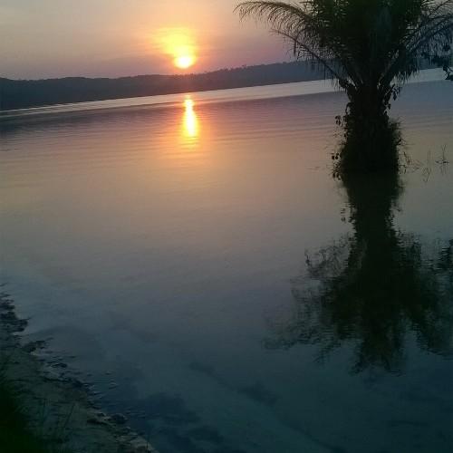 JumbeBenjamin's profile picture. Journalist, Nature/wildlife lover , Child rights defender