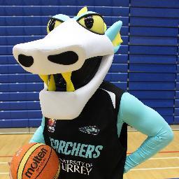 I am the mascot for @surreyscorchers. Love basketball. Love Scorchers. Love our fans. Love trampolines #TimeToBurn