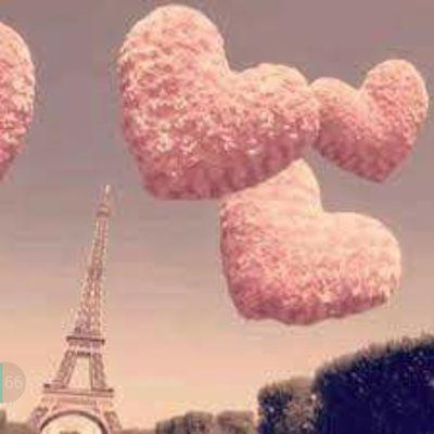 c4oUIps2FO6DREj's profile picture. 