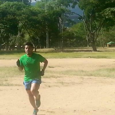 ultijamaica's profile picture. León en un campo de Leones.!