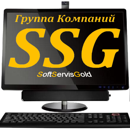 SoftServis