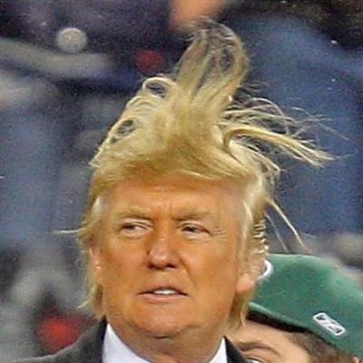 donald trump toupee twitter