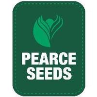 Simon Clements(@sc_pearceseeds) 's Twitter Profile Photo