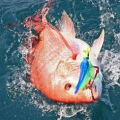 Afzal4441's profile picture. 