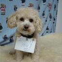 Lawrence Chaney - @lgchaney - Twitter