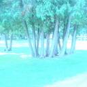 Cynthia Clay - @CyClay - Twitter