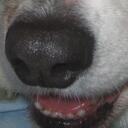 Lee Ann Hamilton - @leeann88 - Twitter