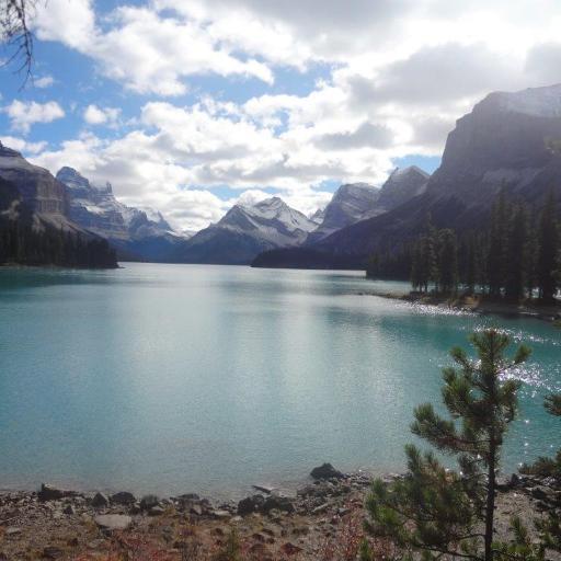 InaBechthold's profile picture. Born and raised in Golden, B.C.