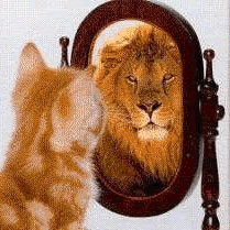 selfhelpexpert's profile picture. 