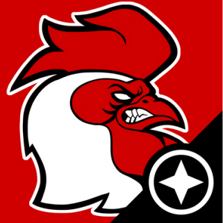 SConScout's profile picture. University of South Carolina Gamecocks football and basketball sports recruiting news and community from http://t.co/4vpI7FE2HB