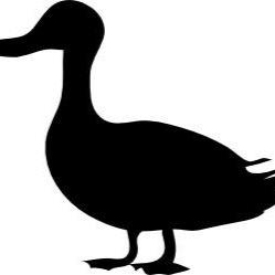 InvigilatorANU's profile picture. 'comedic, satire, stupol'