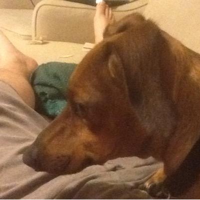 ThomasJohnson16's profile picture. These are my principles...if you don't like them, I have others