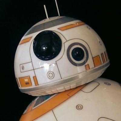 bb8buddy's profile picture. 