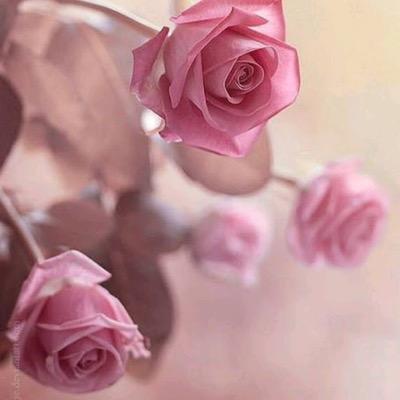 L On Twitter Yara Ma Baaref Lyric Video يارا ما بعرف Http T Co Ijiylrguov