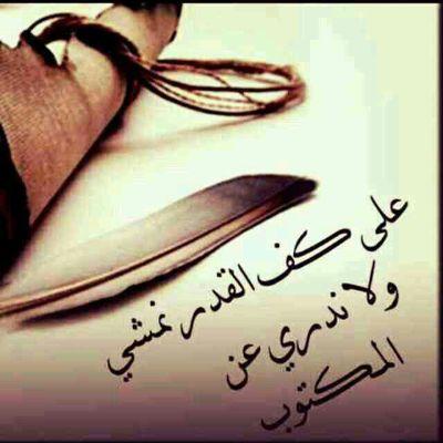 نقره لعرض الصورة في صفحة مستقلة