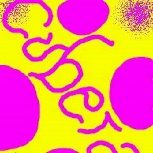 Cubera1's profile picture. 