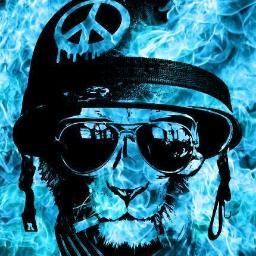 maxsim2202's profile picture. 