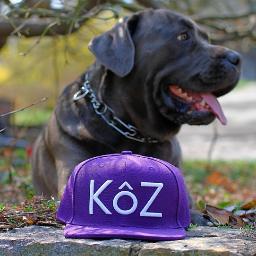 daniellaknowsbc's profile picture. 