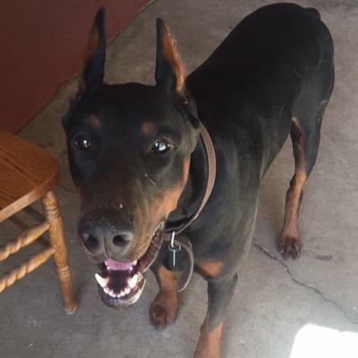 kratos_cx's profile picture. CHS Class of 2015, met luis coronel on 05/06/15✨, #HalaMadrid #MiaSanMia , #OVOXO