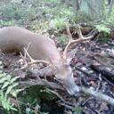 Mathew Kind - @Mkind27 - Twitter