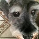 Paul Morillo - @pfmorillo - Twitter